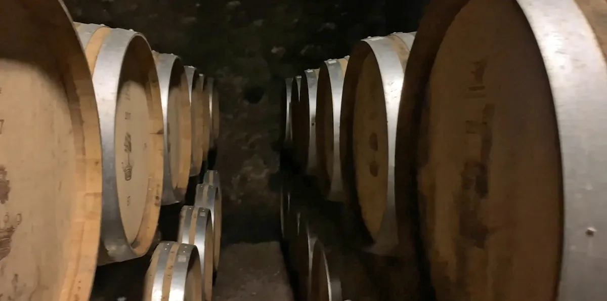 La cave