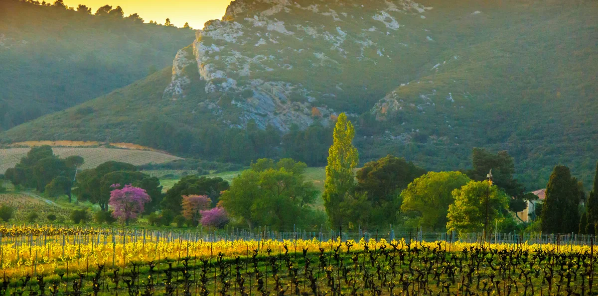Notre terroir