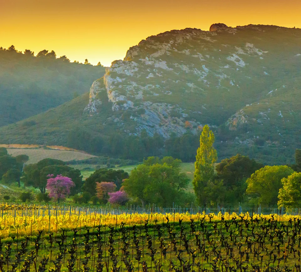Notre terroir